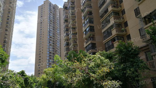 禹洲大學(xué)城房產(chǎn)綜合分析 從房?jī)r(jià)、房源到交通與生活配套